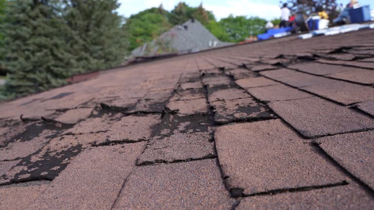 Fast & Reliable Emergency Roof Repairs in St Joseph, IL